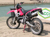 Motorsport