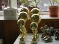 Somogyi Zsolt kupa 2011 - díjátadó